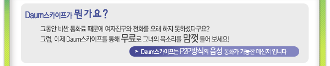 Daum스카이프