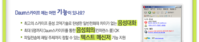 Daum스카이프